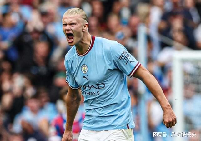 棒球赛事IP的生命周期